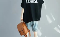 不用播放器的h网